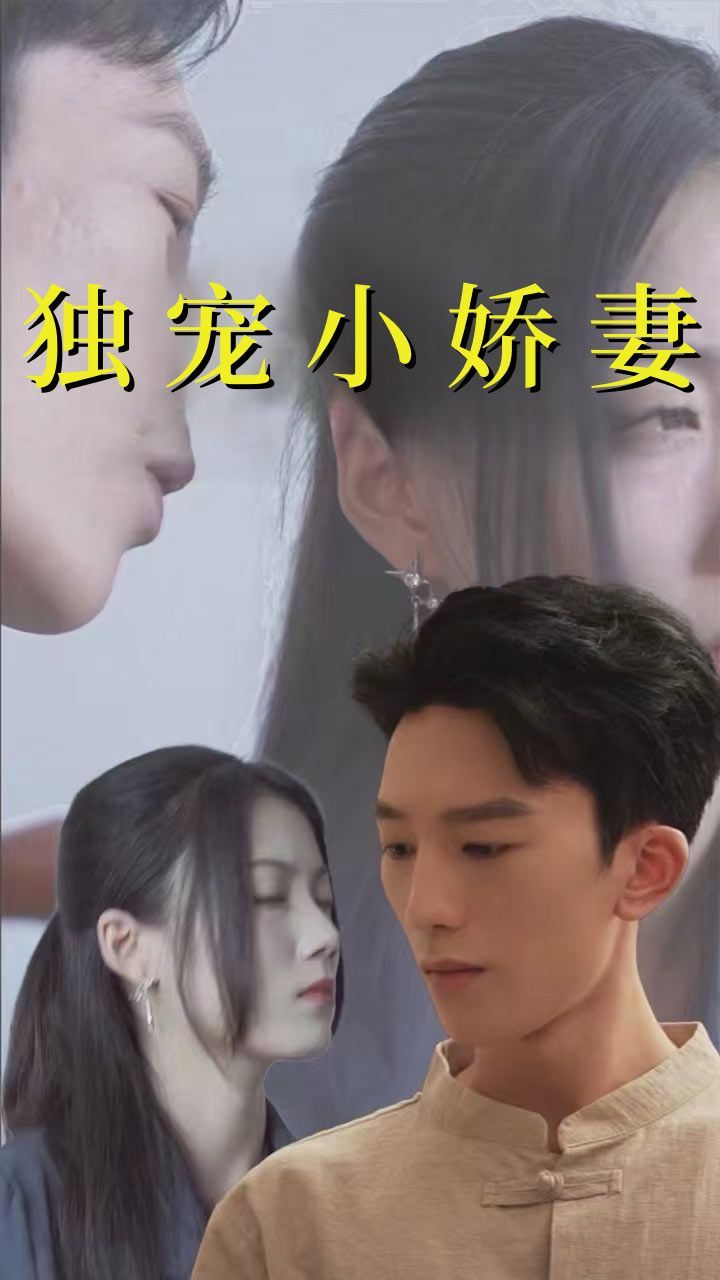 电影：独宠小娇妻
