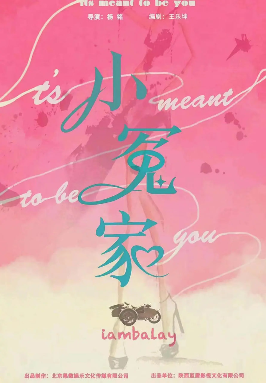 电影:我的媳妇不好惹