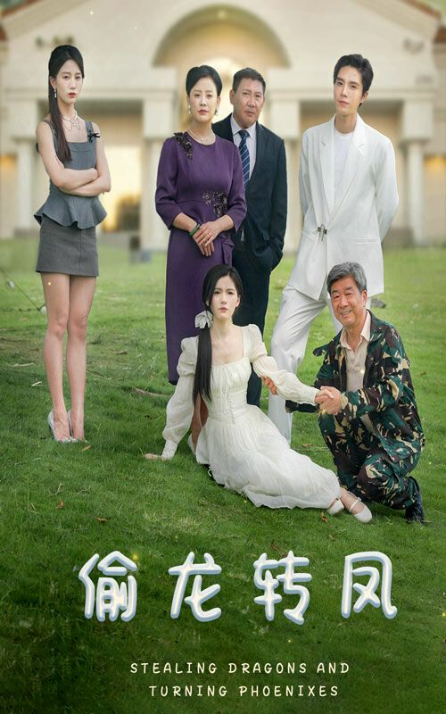 电影：偷龙转凤