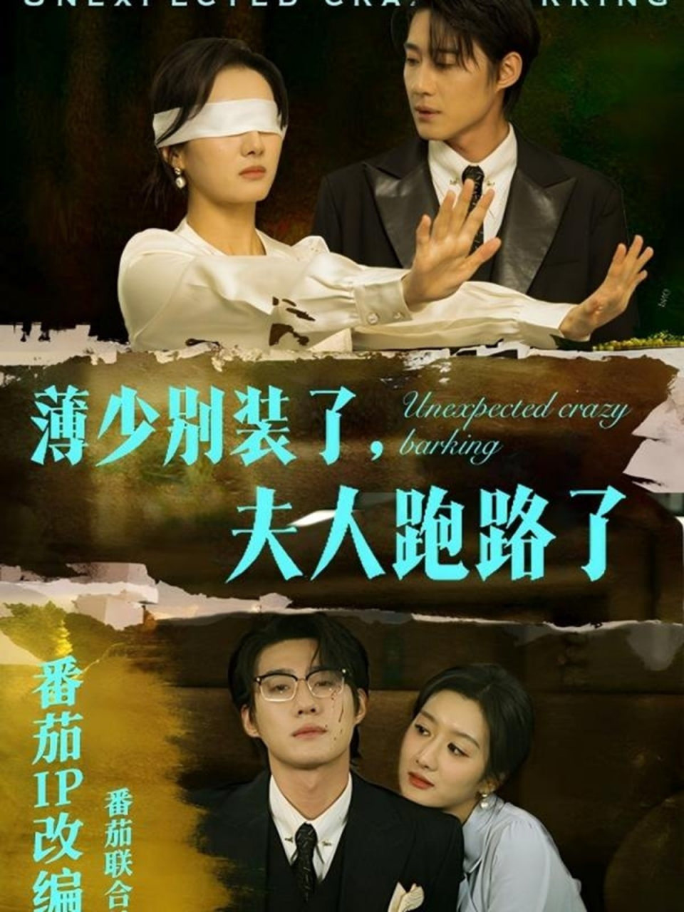 电影:薄少别装了夫人跑路了