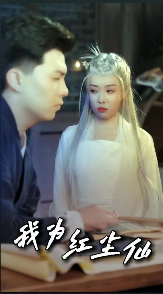 电影:我为红尘仙