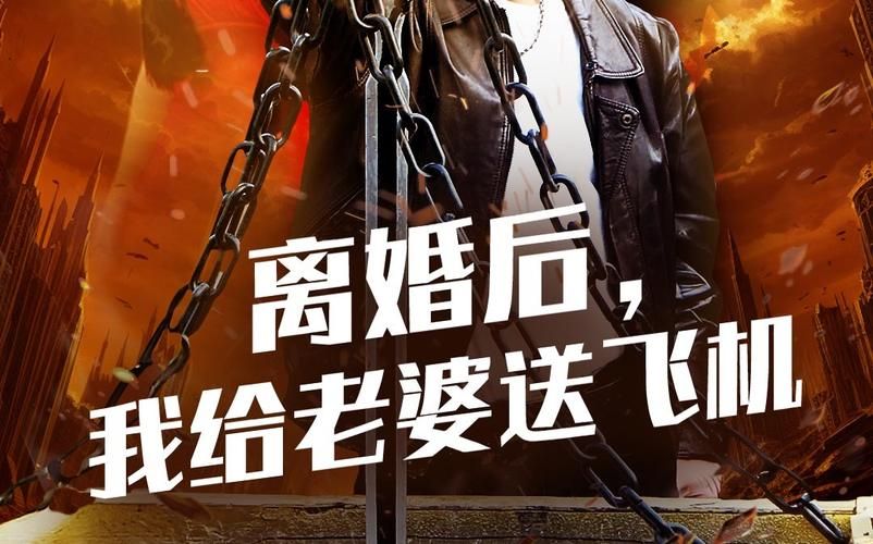 电影：离婚后，我给老婆送飞机