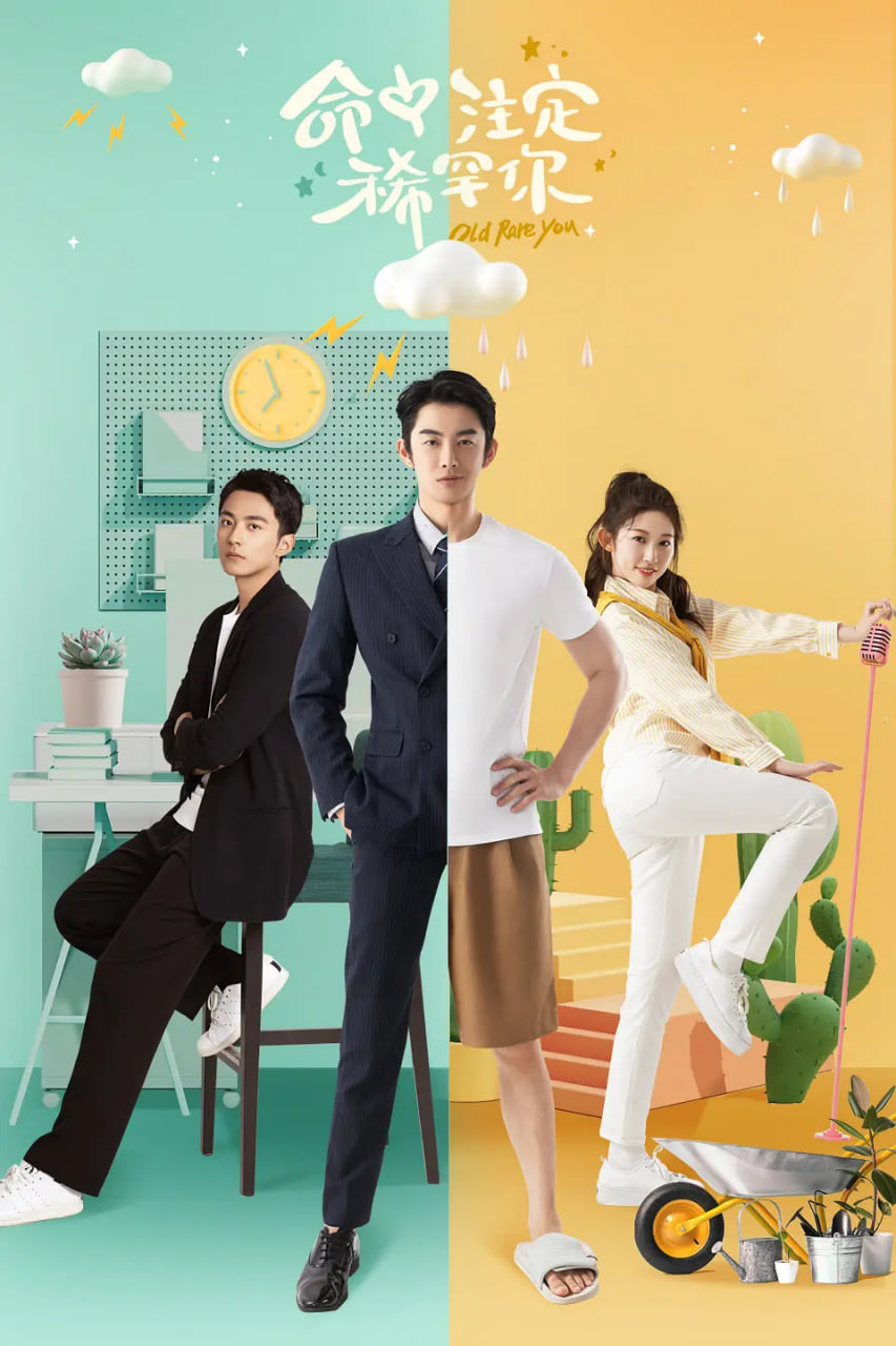 电影:命中注定稀罕你