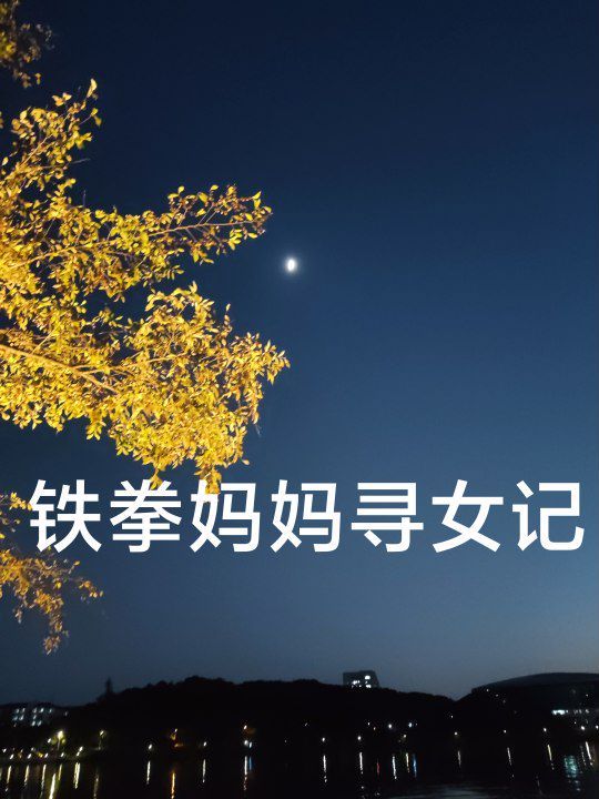 电影:铁拳妈妈寻女记