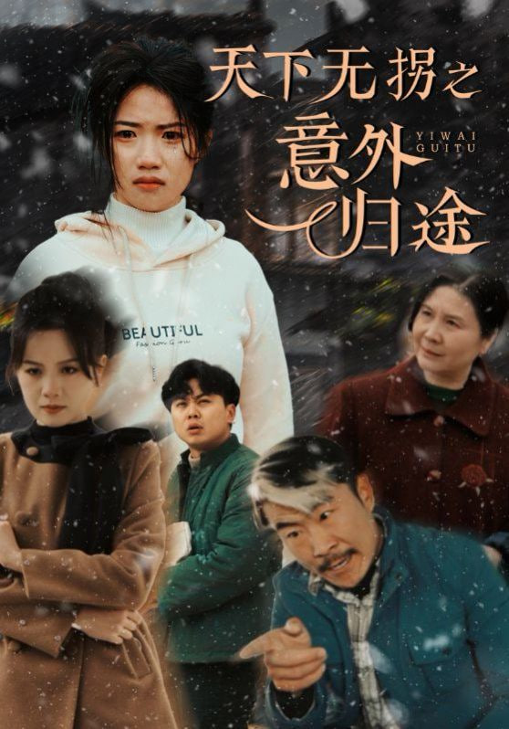 电影:天下无拐之意外归途