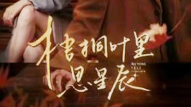 电影：梧桐叶里思星辰