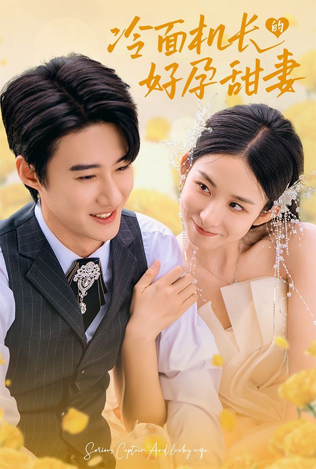 电影：冷面机长的好孕甜妻