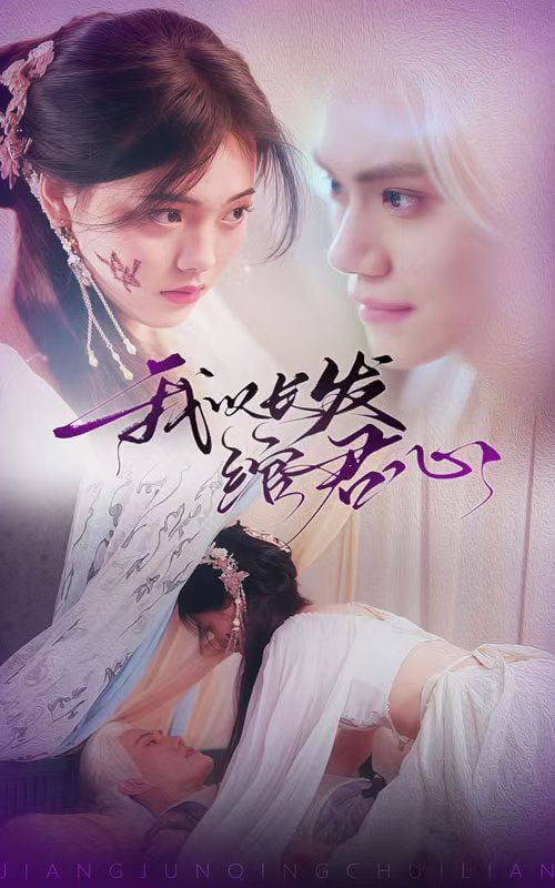 电影：我以长发绾君心（将军请垂怜）