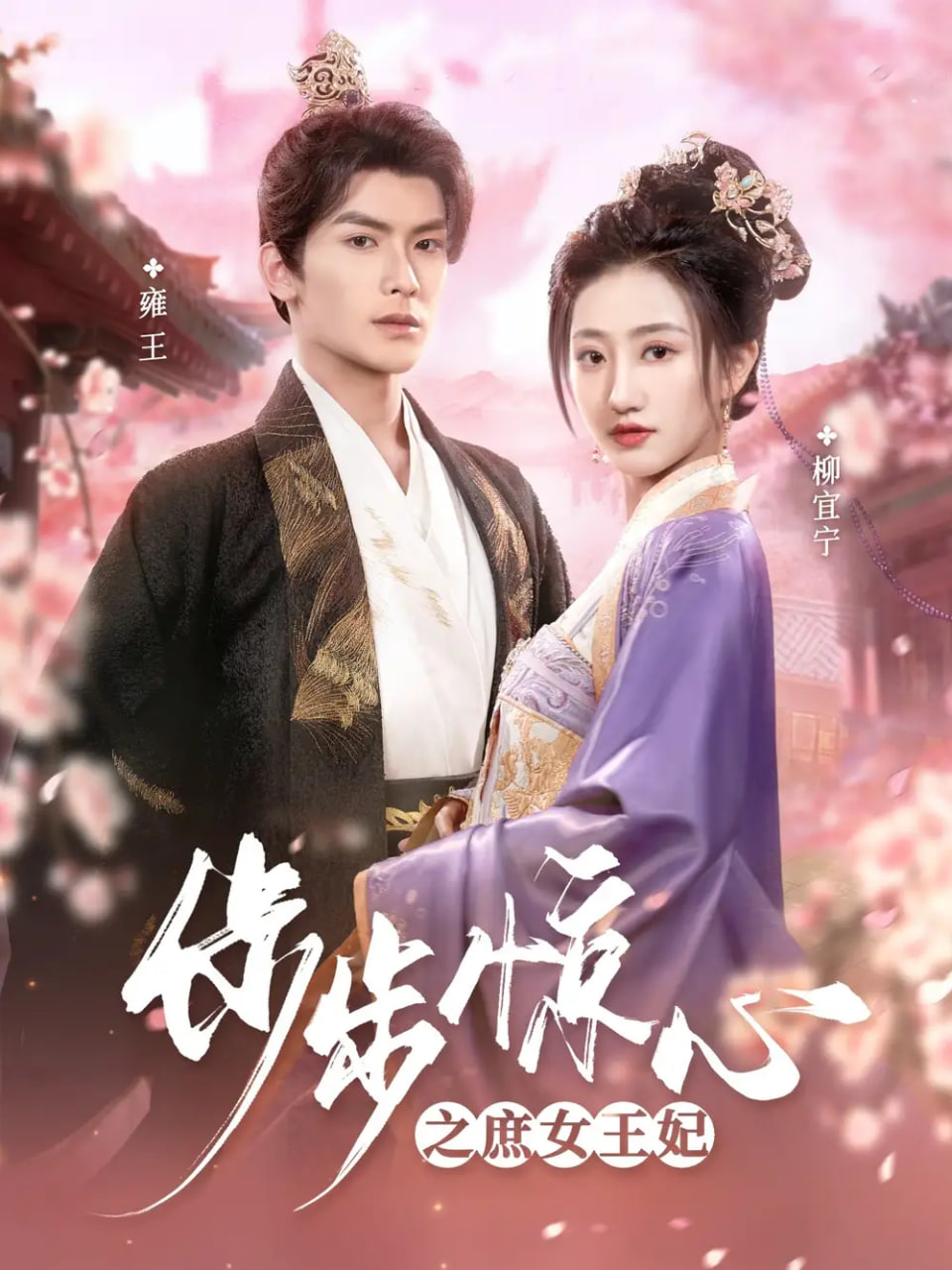 电影:步步惊心之庶女王妃