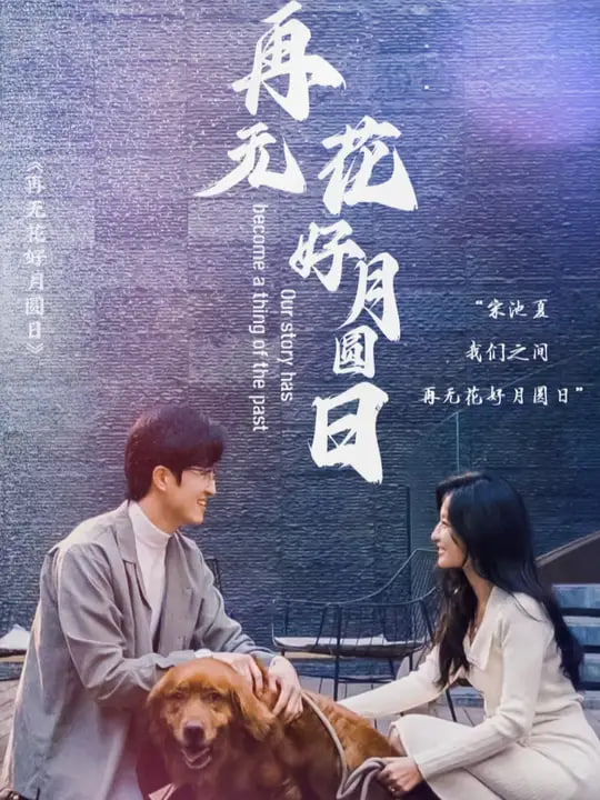 电影：再无花好月圆日