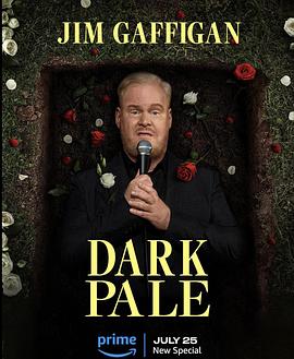 电影:吉姆·加菲根:深灰