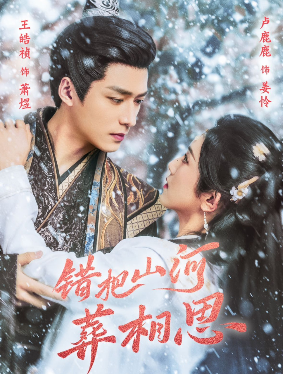 电影:错把山河葬相思