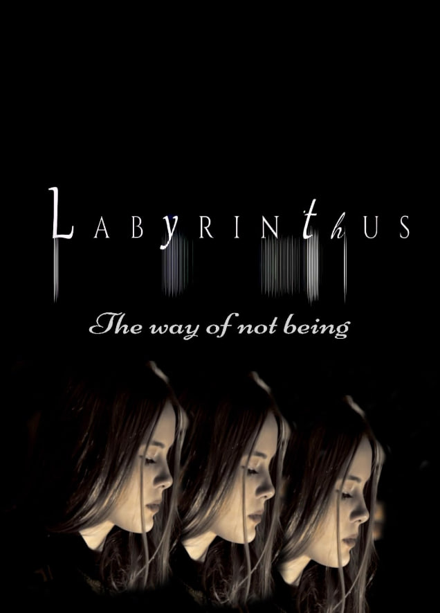 电影：迷宫：不存在的方式