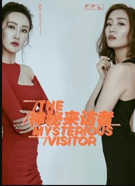 电影:神秘来访者