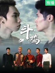 电影:斗鸡