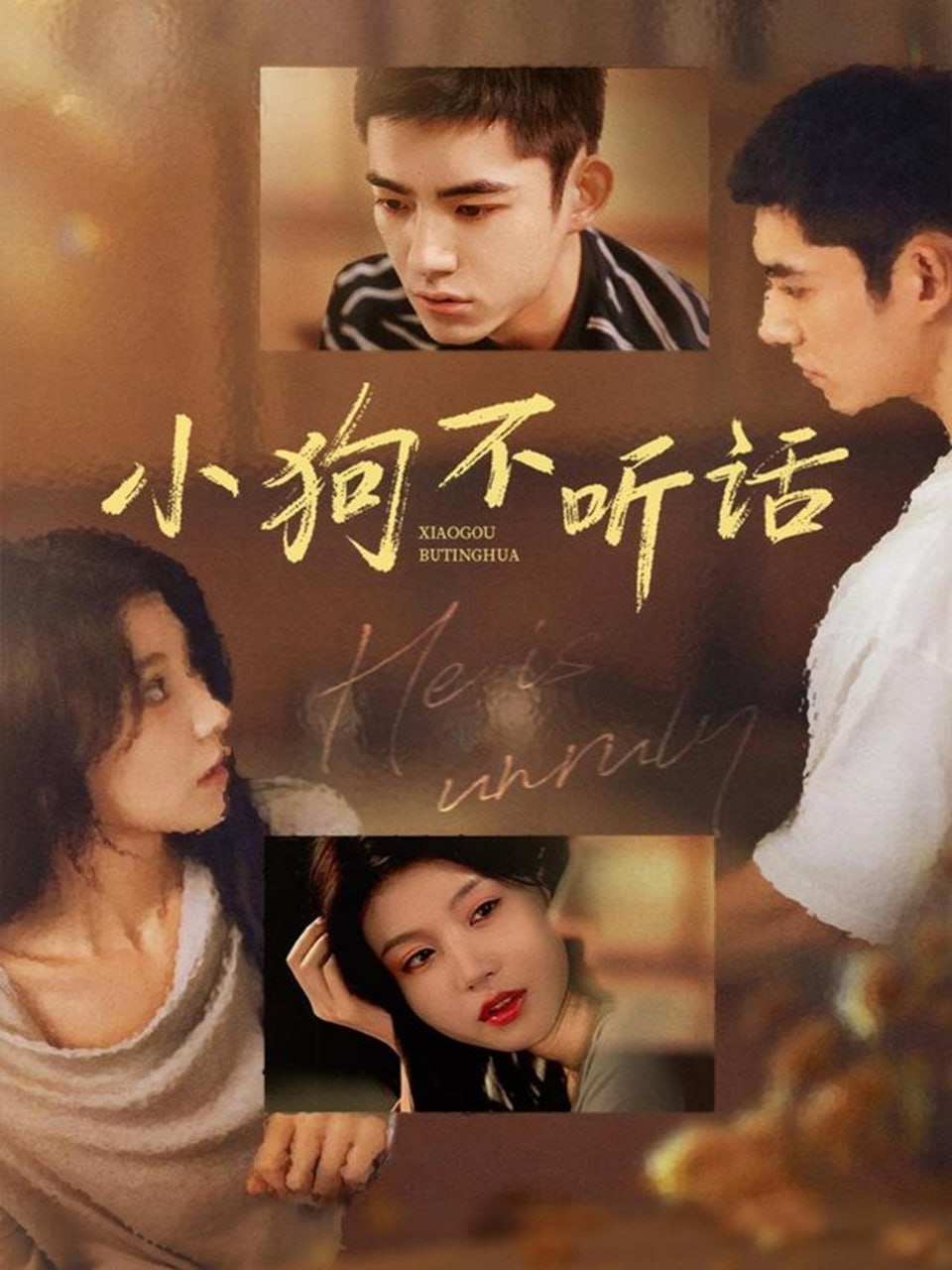 电影:小狗不听话