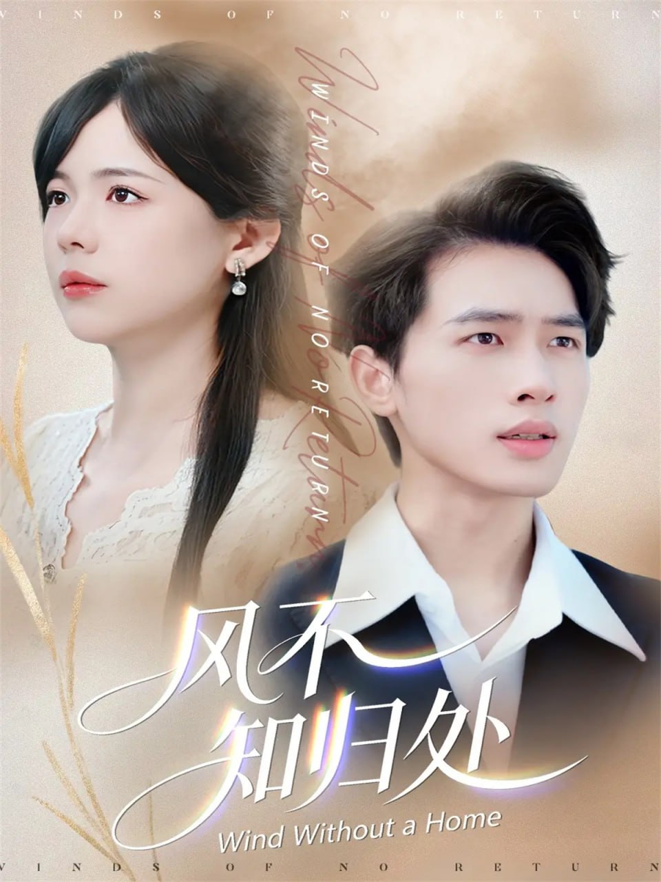 电影:风不知归处