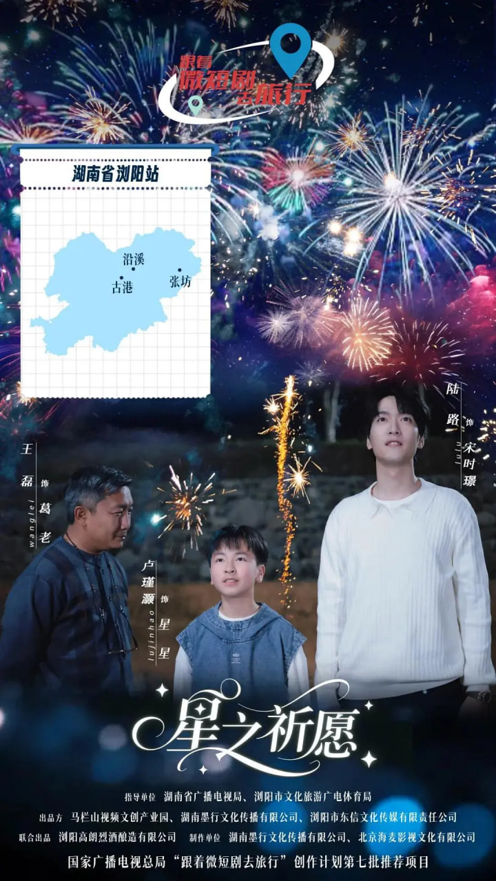 电影：星之祈愿